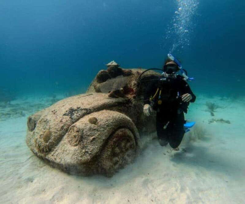 Cancun: PADI Open Water Diver Course - An Introduction to the Cancun PADI Open Water Diver Course