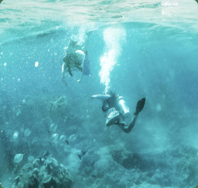 Cancun: Parrotfish Adventure Package - Practical Tips for Participants