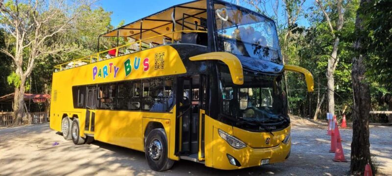 Cancun: Private 3 Hour Party Bus Experience - Who Should Consider This Tour?