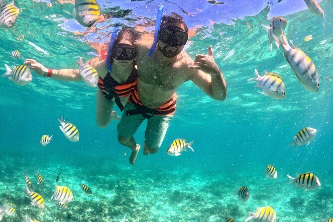 Cancún Private Catamaran to Isla Mujeres with Snorkeling & Lunch - How the Experience Comes Together