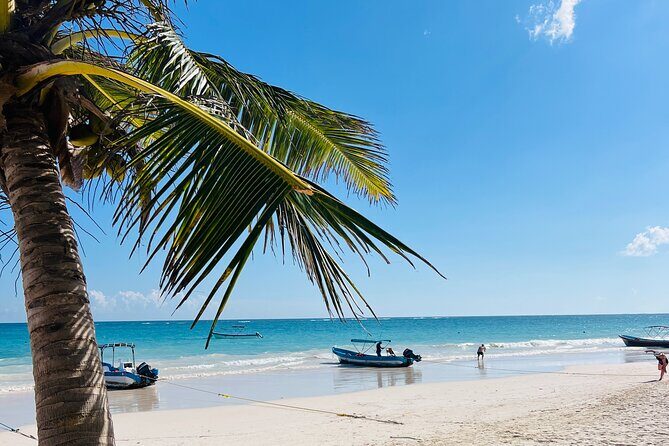 Cancun Private Driver - Key Points