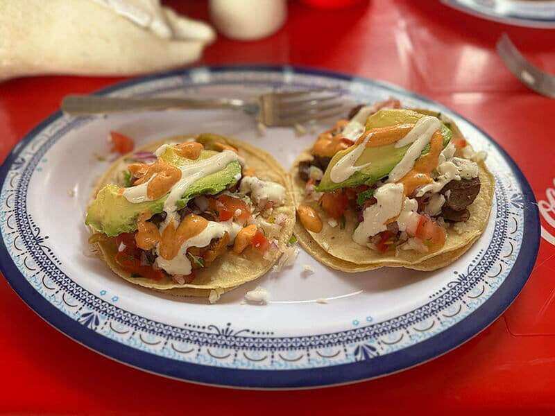 Cancún: Puerto Morelos City & Taco Tour - A Deep Dive into the Tour Experience