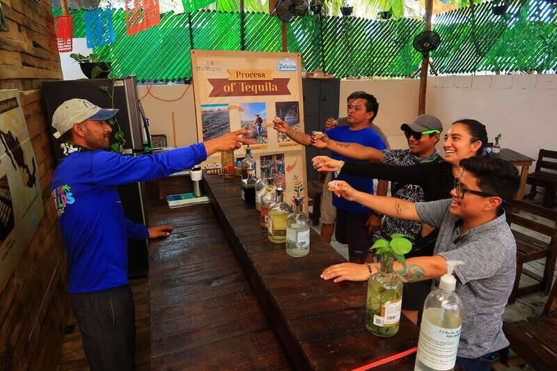 Cancún: Puerto Morelos City & Taco Tour - Final Thoughts: Is It Worth It?
