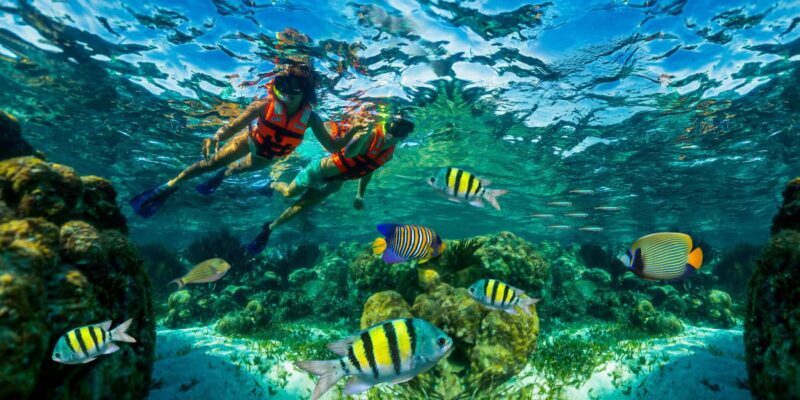 Cancún: Puerto Morelos Reef Snorkeling Tour & Seaside Lunch - The Itinerary: What to Expect from Start to Finish
