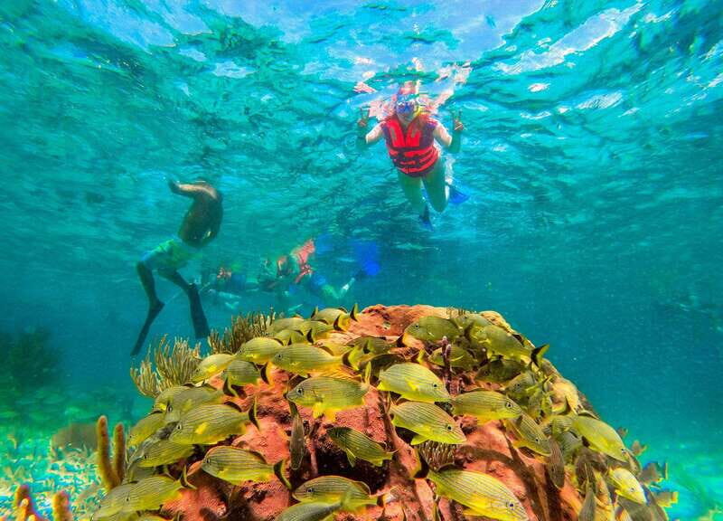 Cancún: Puerto Morelos Reef Snorkeling Tour & Seaside Lunch - Who Should Consider This Tour?