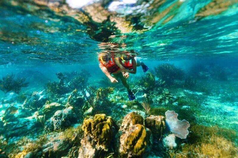 Cancún: Puerto Morelos Reef Snorkeling Tour & Seaside Lunch - Final Thoughts: Is It Worth It?