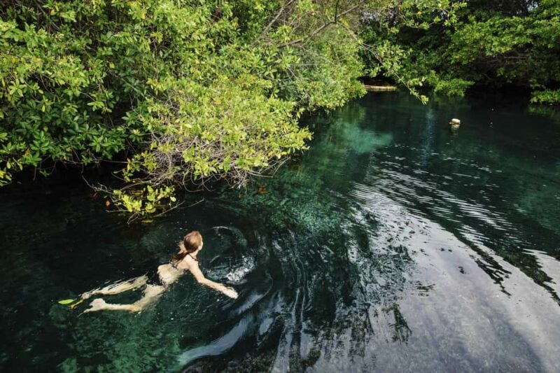 Cancun: Quad biking, zip lines, and swimming in a jungle cenote - Key Points