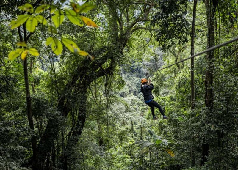 Cancun: Quad biking, zip lines, and swimming in a jungle cenote - What Makes This Tour Unique?
