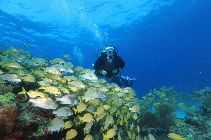 Cancun: Scuba Diving for Beginners, 2 Dives - The Guides and Staff