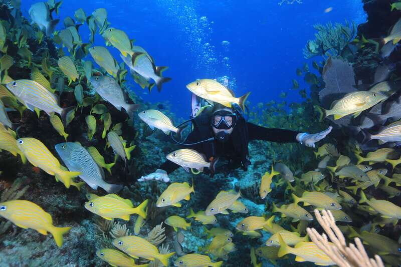 Cancun: Scuba Diving for Certified Divers, 3 options to dive - Who Should Consider This Tour?