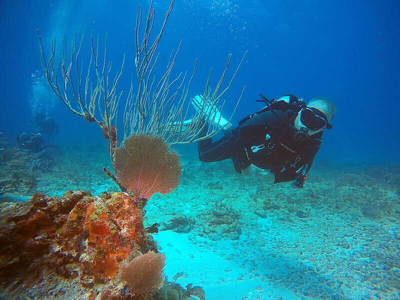 Cancun: Scuba Diving for Certified Divers, 3 options to dive - Frequently Asked Questions (FAQs)