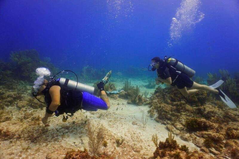 Cancun: Shipwreck and Reef Dives - Key Points