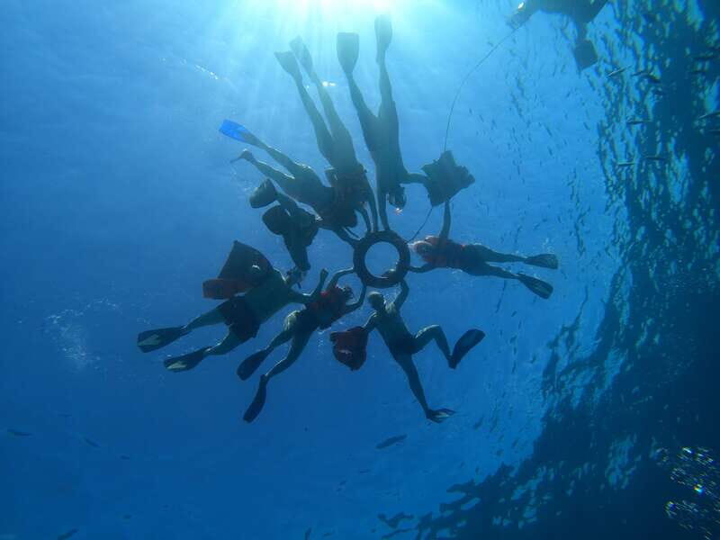 Cancun: Snorkel in MUSA Undewater Museum and Reef - Who Is This Tour Best For?
