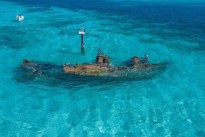 Cancun Snorkeling Adventure: Turtles, Reefs & Underwater Wonders - Key Points