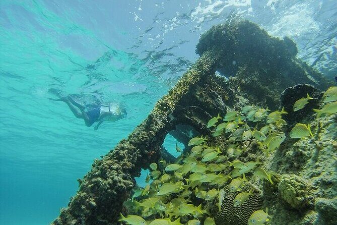 Cancun Snorkeling Adventure: Turtles, Reefs & Underwater Wonders - An In-Depth Look at the Tour Itinerary