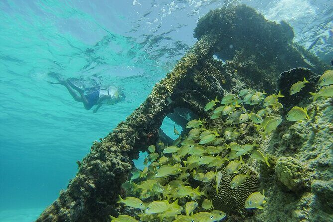 Cancun Snorkeling Adventure: Underwater Museum, Reef & Shipwreck - Who Will Love This Tour?