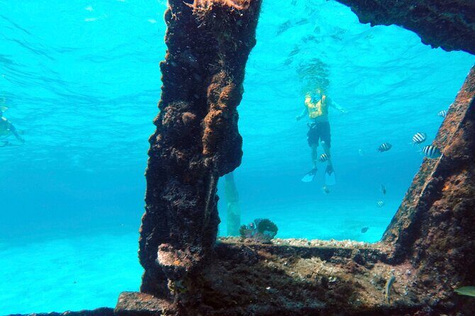 Cancun Snorkeling Adventure: Underwater Museum, Reef & Shipwreck - The Sum Up