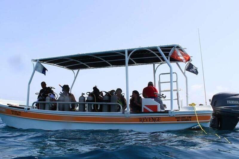 Cancun: Snorkeling at Underwater Museum & Manchones Reef - Key Points