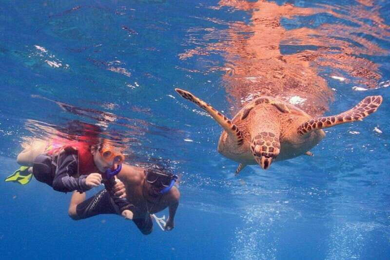 Cancun: Snorkeling at Underwater Museum & Manchones Reef - A Practical Overview of the Experience