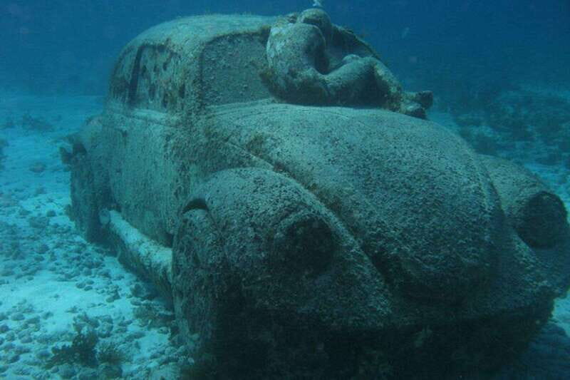 Cancun: Snorkeling at Underwater Museum & Manchones Reef - Final Thoughts