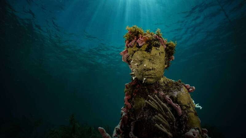 Cancun: Snorkeling Tour at MUSA The Underwater Museum - The Value of This Experience