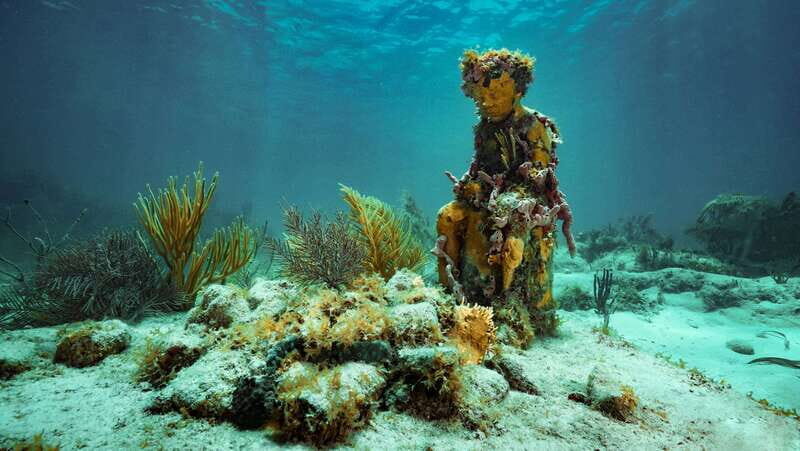 Cancun: Snorkeling Tour at MUSA The Underwater Museum - Final Thoughts