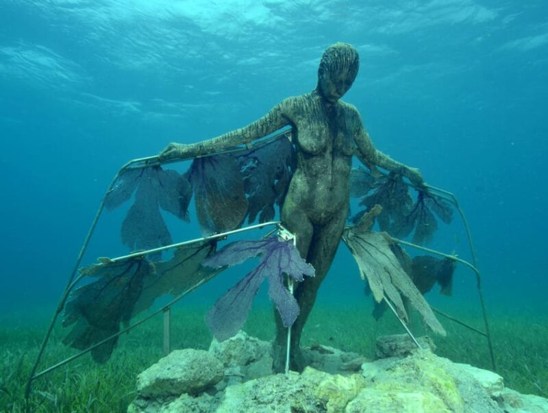 Cancun: Snorkeling Tour at MUSA The Underwater Museum - FAQ