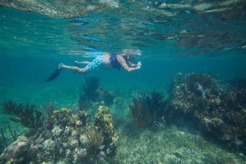 Cancun: Snorkeling Tour with Hotel Pickup - Frequently Asked Questions