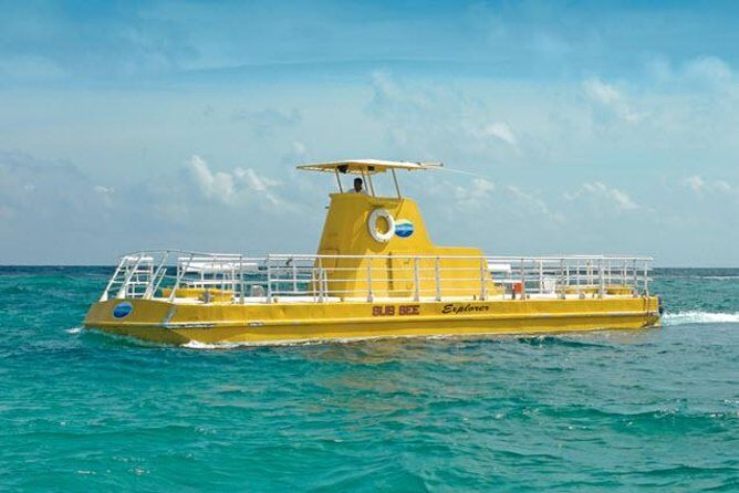 Cancun Submarine and Optional Snorkeling Tour - The Reefs and Marine Life: What Do You See?