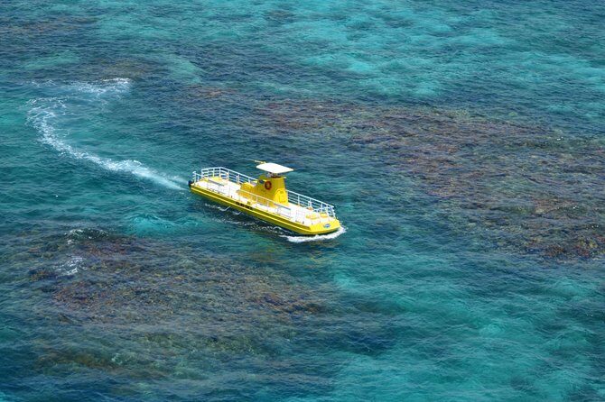 Cancun Submarine and Optional Snorkeling Tour - What Reviewers Say: Honest Perspectives