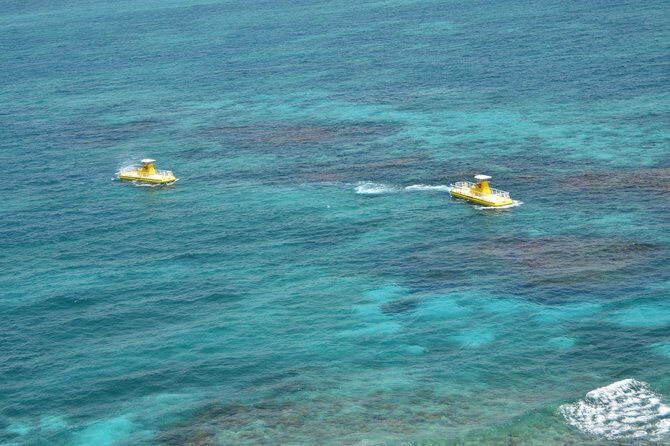 Cancun Submarine and Optional Snorkeling Tour - Who Will Love This Tour?