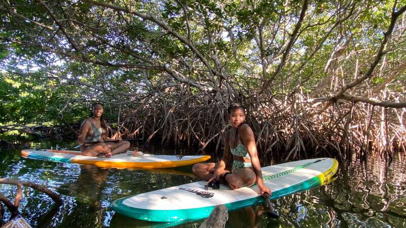 Cancun: Sunrise/Sunset Stand-Up Paddleboarding Tour - An Authentic Way to Experience Cancún’s Natural Side