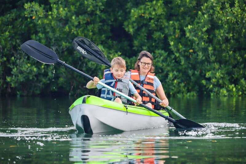 Cancun: Sunset Kayak Experience in the Mangroves - Key Points