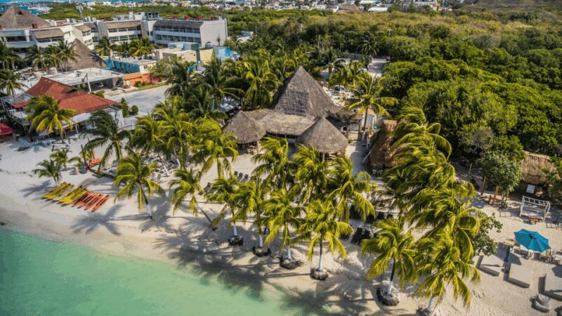 Cancún: Swim with Whale Sharks & Playa Norte Beach - Practical Tips for Participants
