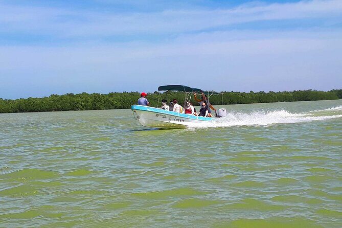 Cancun tour Las Coloradas Pink Lagoon + Rio Lagartos Tour - Real Experiences from Travelers