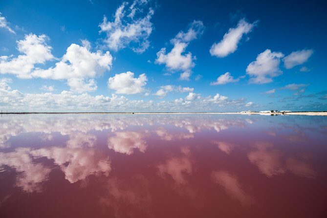 Cancun tour Las Coloradas Pink Lagoon + Rio Lagartos Tour - FAQs