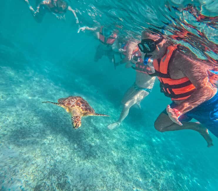 Cancun: Tulum Ruins, Akumal Turtles, Cenote & Caves Tour - Key Points