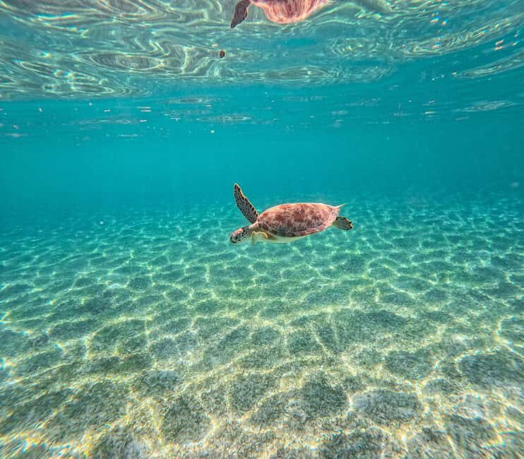 Cancun: Tulum Ruins, Akumal Turtles, Cenote & Caves Tour - The Tour in Detail: A Balance of History, Nature, and Culture