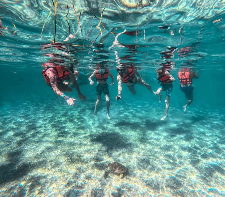 Cancun: Tulum Ruins, Akumal Turtles, Cenote & Caves Tour - What the Reviews Say