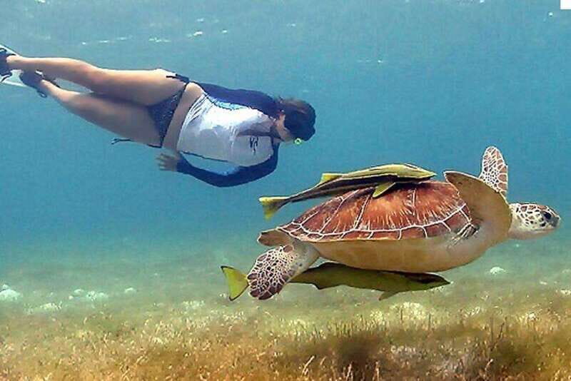Cancun: Tulum Ruins & Snorkeling with Sea Turtles Tour - The Sum Up