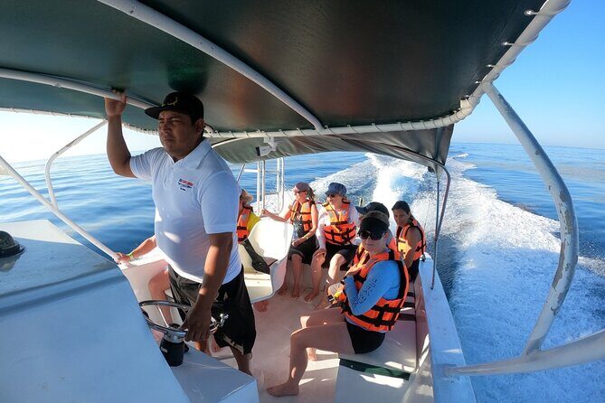 Cancun Whale Shark Experience with Snorkel & Transportation - FAQ