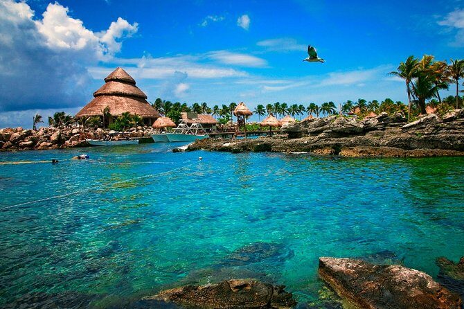 Cancun Xcaret Plus Full Day Trip with Round Trip Transport - What to Expect from the Journey