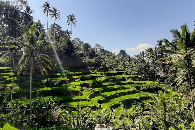 Candidasa Private Car with English Speaking Driver - The Itinerary: A Closer Look at Each Stop