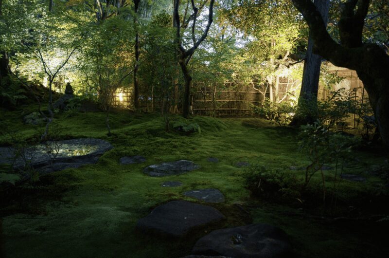 Candlelit Zen: Evening Meditation at Kyotos Secret Temple - Authenticity and Learning: Why It Matters