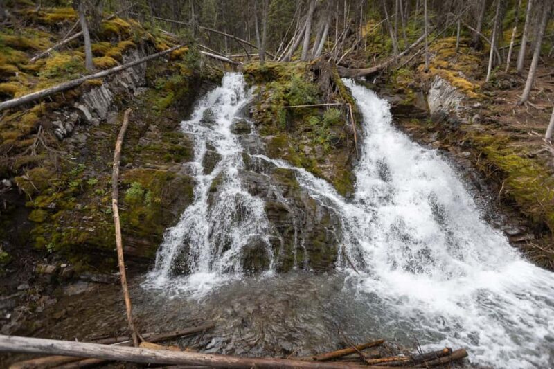 Canmore: 3 Hour Local Explorer Tour and Hike with a Guide - Who This Tour Is Perfect For