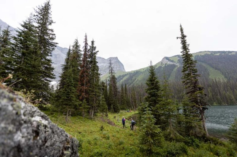 Canmore: 3 Hour Local Explorer Tour and Hike with a Guide - The Sum Up: Who Should Sign Up?