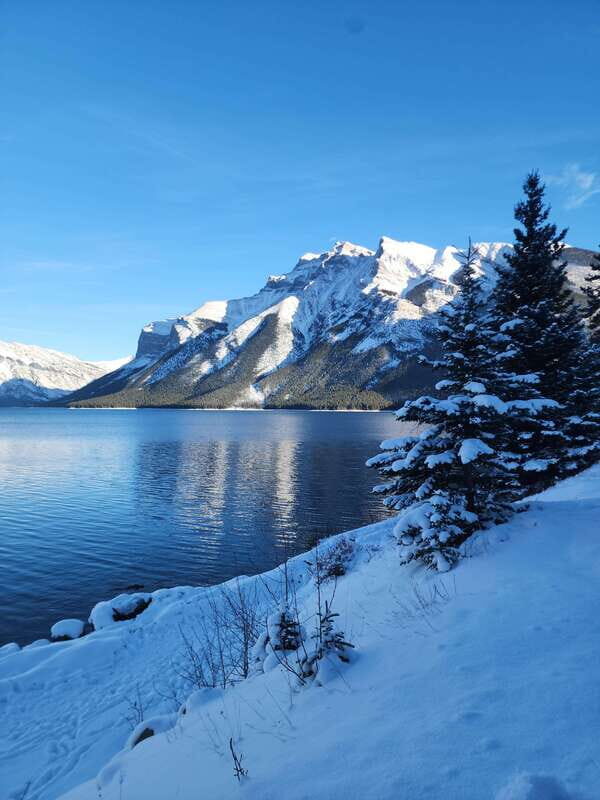 Canmore/Banff: Explore Banff & Wildlife - Who Will Love This Experience?