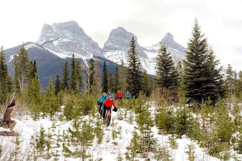 Canmore: Explore Winter Wildlife Tracks - 2hr Nature Walk - An In-Depth Look at the Canmore Wildlife Tracks Tour
