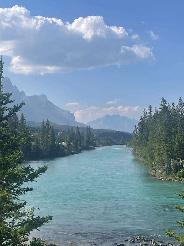 Canmore: Guided Town Walking Tour with Sweet Treat and Drink - Who Should Take This Tour?