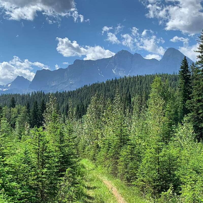 Canmore: LOST TOWNS and Untold Stories - Hiking Tour 3hrs - Discovering Canmore’s Hidden Gems